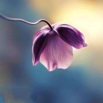 牡丹江房地产信息网